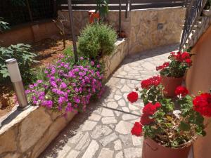 a group of flowers in pots on a patio at Morena in Pula