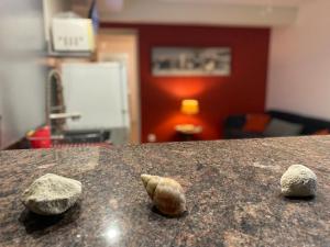 Fotografie z fotogalerie ubytování T 2 Ste Anne à 5mn de la Plage v destinaci Sainte-Anne