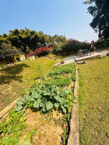 Ein Garten an der Unterkunft Hotel Tourist Residency