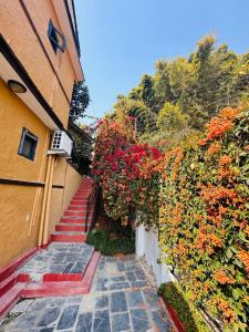 Ein Garten an der Unterkunft Hotel Tourist Residency