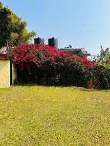 Ein Garten an der Unterkunft Hotel Tourist Residency
