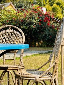 Ein Garten an der Unterkunft Hotel Tourist Residency