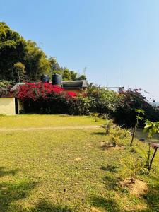 Ein Garten an der Unterkunft Hotel Tourist Residency
