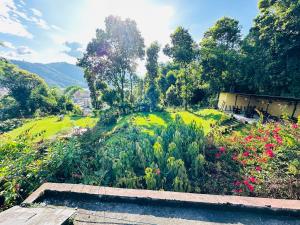 Ein Garten an der Unterkunft Hotel Tourist Residency