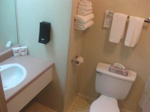 Ванна кімната в Motel de la Pente Douce