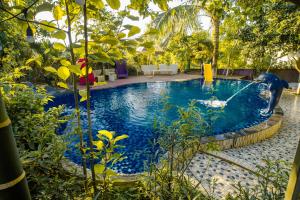 Bazén v ubytování Lauka Hill Homestay nebo v jeho okolí + 59 fotografií