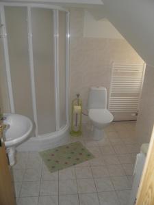 a bathroom with a shower and a toilet and a sink at Penzion U Modrého Slona in Františkovy Lázně