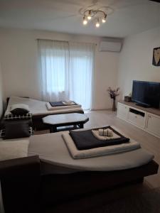 a living room with two beds and a television at Morena in Pula
