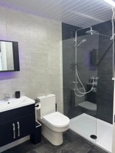 un bagno con wc e doccia in vetro di Smythe Cottage a Kirkistown Altre 21 foto