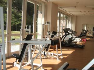Fitness centrum a/nebo fitness zařízení v ubytování Narita Gateway Hotel