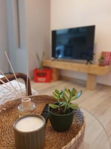 a table with two plants sitting on top of it at studio cosy idéalement situé parking privé in Ajaccio