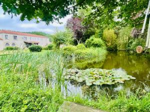 staw z liliami w środku ogrodu w obiekcie Gîte Bidallon w mieście Saint-Michel-Saint-Jaymes