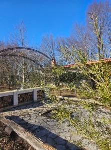 Ảnh trong thư viện ảnh của Soisha ở Jvari