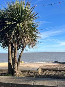 Fotografie z fotogalerie ubytování Stunning 2 bedroom flat for 5 people overlooking the sea 2A v destinaci Felixstowe