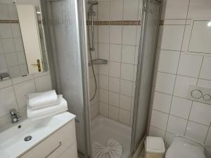 ein Badezimmer mit Dusche, Toilette und Waschbecken in der Unterkunft Fewo Rosenhof 13 in Kühlungsborn
