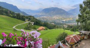 Gallery image of Hotel Rastlhof in Schenna +41 photos