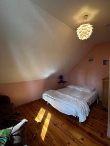 a bedroom with a bed and a chandelier at Villa Pomme de Pin in Quend-Plage