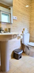 a bathroom with a toilet and a sink and a mirror at La Gran Manzana de Villaviciosa in Villaviciosa