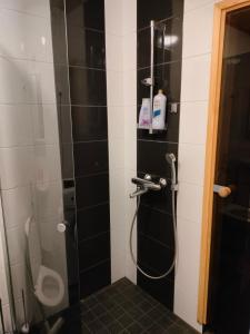 Koupelna v ubytování Huoneisto keskustassa + 10 fotografií