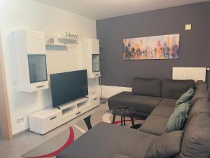 un soggiorno con divano e TV a schermo piatto di Apartment Nico Völklingen-Ludweiler a Völklingen