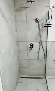 a shower with a shower head in a bathroom at Luxus Appartement Motel Ambiente 2 in Bad Säckingen
