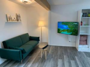 a living room with a green couch and a table at Luxus Appartement Motel Ambiente 2 in Bad Säckingen