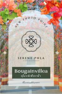 Certifikát, hodnocení, plakát nebo jiný dokument vystavený v ubytování Serene Phla Resort and Restaurant + 34 fotografií