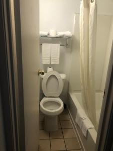 Koupelna v ubytování Budget Inn Denver Downtown