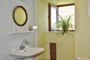 a bathroom with a sink and a mirror and a plant at Chez Lucien in Trébas