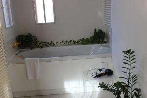 a bathroom with a bath tub with plants on it at Domus Orsoni in Venice