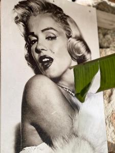 Imagem da galeria de Vila Rahmi & Veli Dervishaj em Vlorë