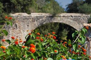 A garden outside House Walking Distance to Pollensa by Renthousing