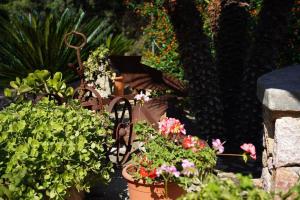 A garden outside House Walking Distance to Pollensa by Renthousing