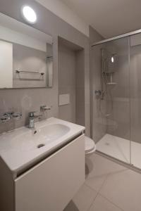 a bathroom with a sink and a shower and a toilet at Casa Cavalli appartamento nuovo in Verscio