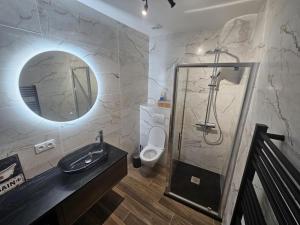 a bathroom with a shower and a sink and a toilet at Le temps suspendu in Sedan +44 photos