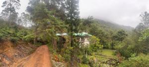a house on a hill with trees and a dirt road at Agarapathana Estate Holiday Bungalow in Hatton