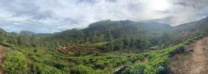 an aerial view of a mountain with trees and a dirt road at Agarapathana Estate Holiday Bungalow in Hatton +5 photos