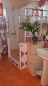 a bathroom with a shower and a potted plant at Charmantes Stadthaus mit Traumblick in Campanet
