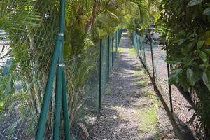 una cerca con postes verdes junto a algunos árboles en L'écrin du Rivage, en Sainte-Anne