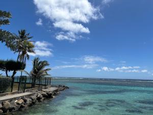 una playa con palmeras y vistas al océano en L'écrin du Rivage, en Sainte-Anne