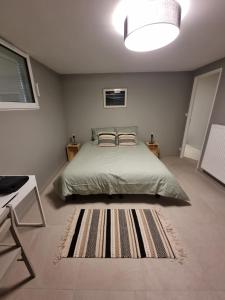 a bedroom with a bed and a rug at Appartement au cœur des vignes in Chaintré +3 photos