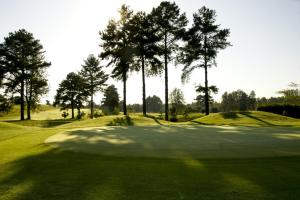 una vista de un campo de golf con árboles en el fondo en Peace and Comfort - Greenway Woods, en White River