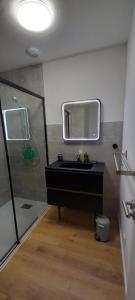 ein Badezimmer mit Waschbecken und Dusche mit Spiegel in der Unterkunft Appartement avec terrasse dans maison individuelle in Ceyreste + 28 Fotos