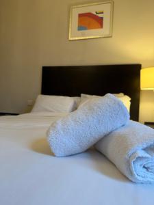 Postel nebo postele na pokoji v ubytování Green Ariana Hotel - near Wembley and central London