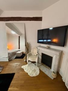 un salon avec une télévision au-dessus d'une cheminée dans l'établissement le logis de la cathédrale, à Auxerre