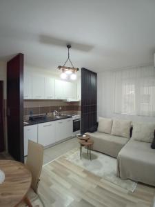 Kuchyň nebo kuchyňský kout v ubytování Apartman,, Nina ,, + 9 fotografií
