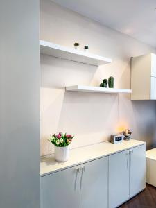 Η κουζίνα ή μικρή κουζίνα στο I Bastioni Apartment