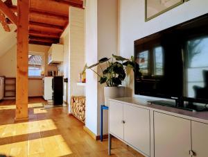 TV a/nebo společenská místnost v ubytování Gemütliche Wohnung an der Nordseeküste in Utgast