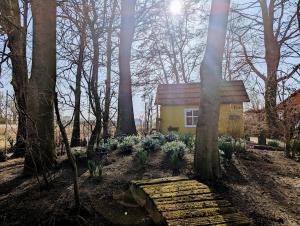 Zahrada ubytování Gemütliche Wohnung an der Nordseeküste in Utgast
