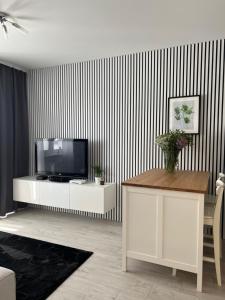 a living room with a flat screen tv on a striped wall at Apartament City Rent Płock 2 in Płock